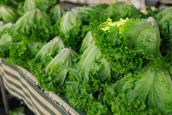 How Does the UK Kitchen Design Industry Influence Home Renovation Trends?